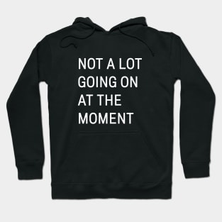 Not A Lot Going On At The Moment Hoodie